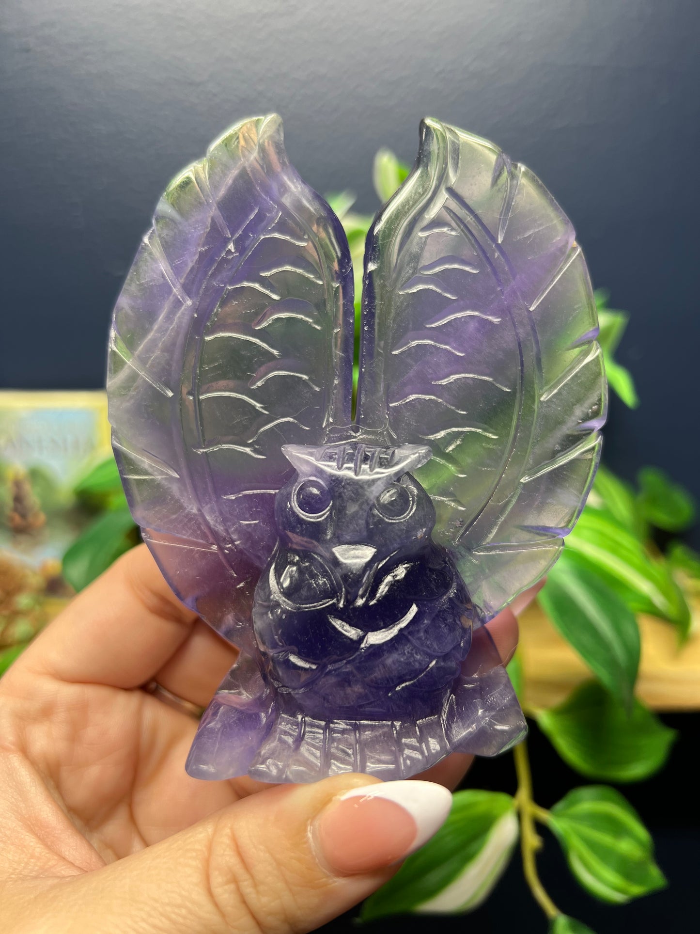 Fluorite Owl Carving